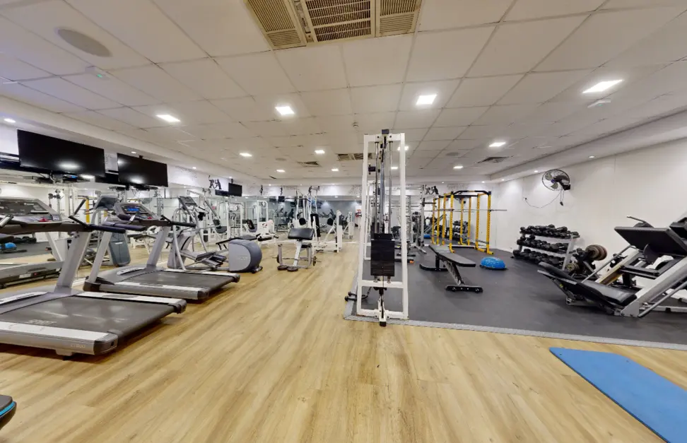 יחידת רויאל